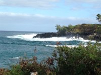 Magnificent Maui